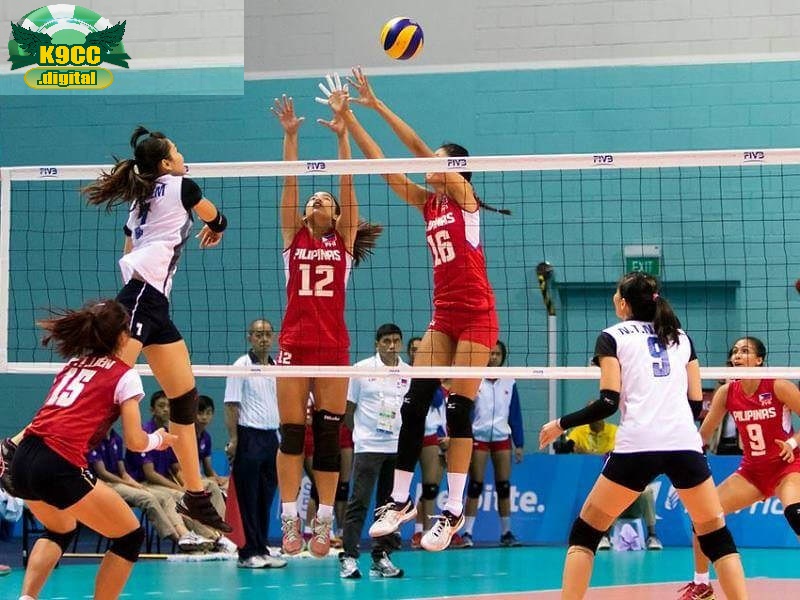 Một số loại cược bóng chuyền tại K9cc