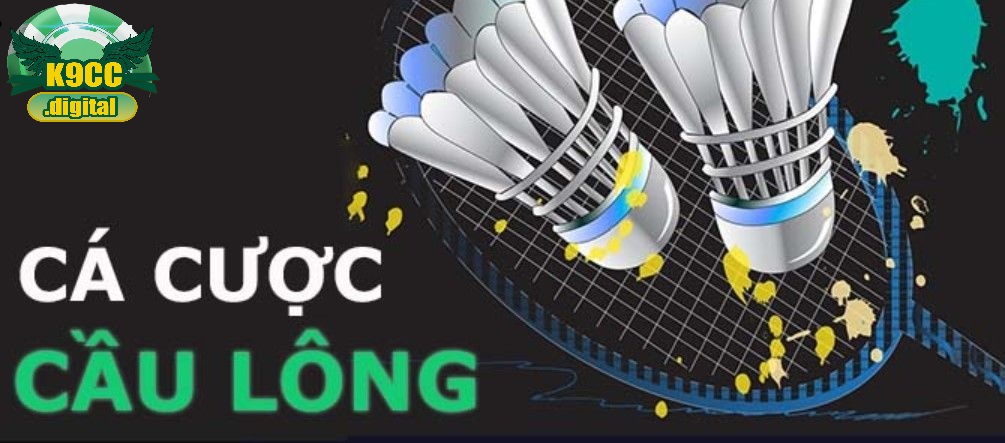 Cách tham gia cược cầu lông chi tiết