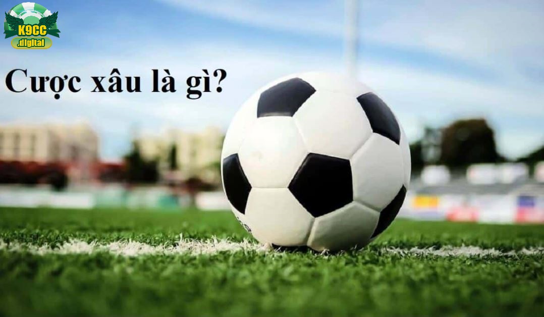 Hãy đảm bảo tuân thủ những quy tắc này khi tham gia cược xâu.