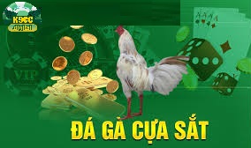 Chơi cá cược an toàn, bảo mật tuyệt đối