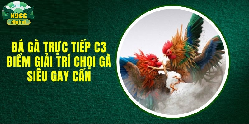 Nên theo dõi trận đấu rồi đặt cược sau