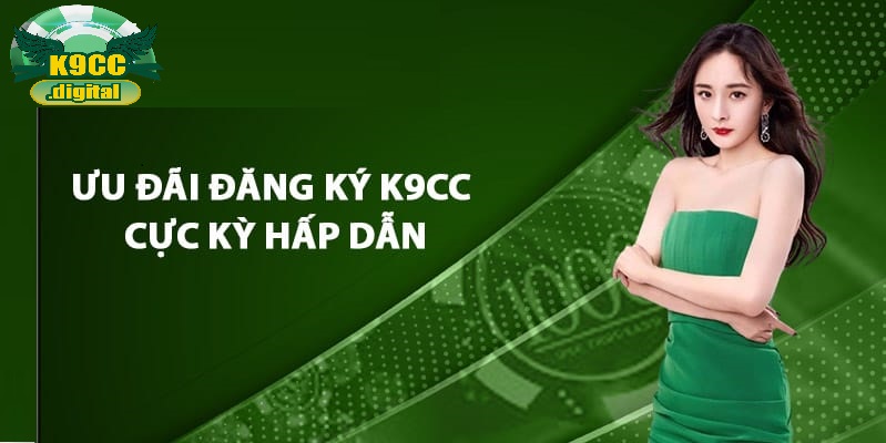 Thứ cần chuẩn bị khi đăng ký K9cc