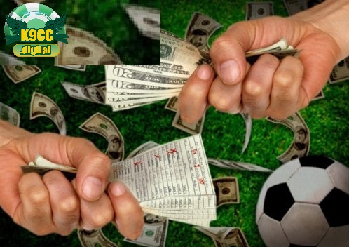 Tìm hiểu về cách đọc của kèo chấp nửa trái