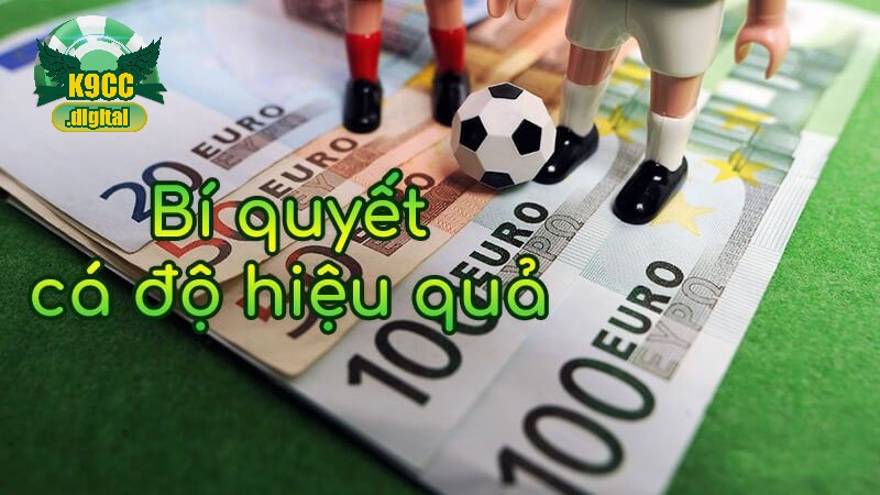 Cách chơi cá độ bóng đá không thua